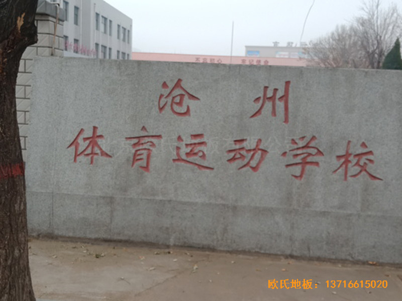 ӱwW(xu)@^wľذO(sh)0